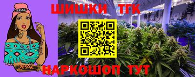 крисы Будённовск