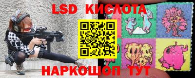 крисы Будённовск