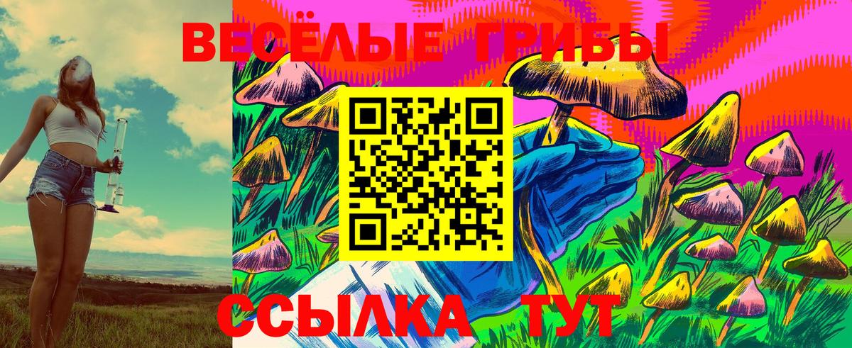 Псилоцибиновые грибы Cubensis Мончегорск
