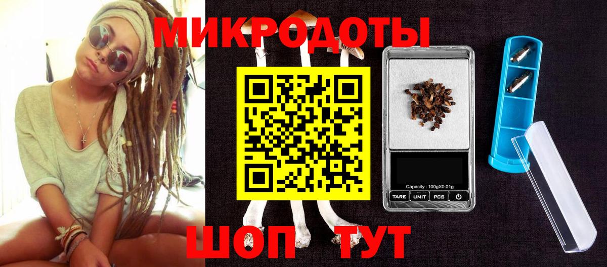 Псилоцибиновые грибы Psilocybine cubensis  Вход с VPN  Мончегорск 